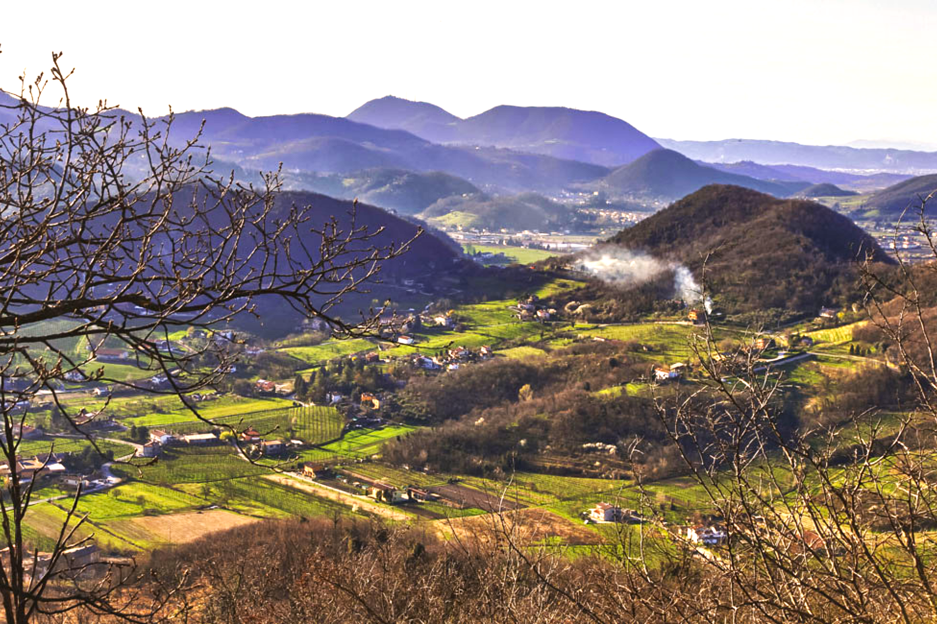 panoramica-colli